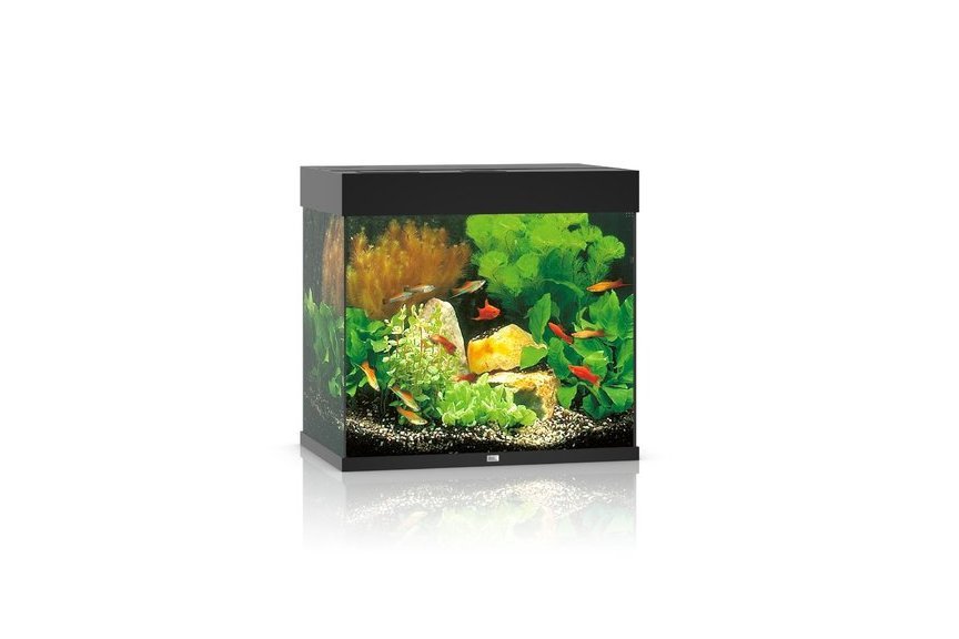 Juwel Lido 120 LED Aquarium Set von Juwel