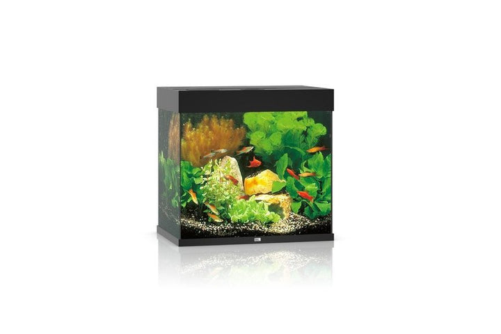 Juwel Lido 120 LED Aquarium Set von Juwel