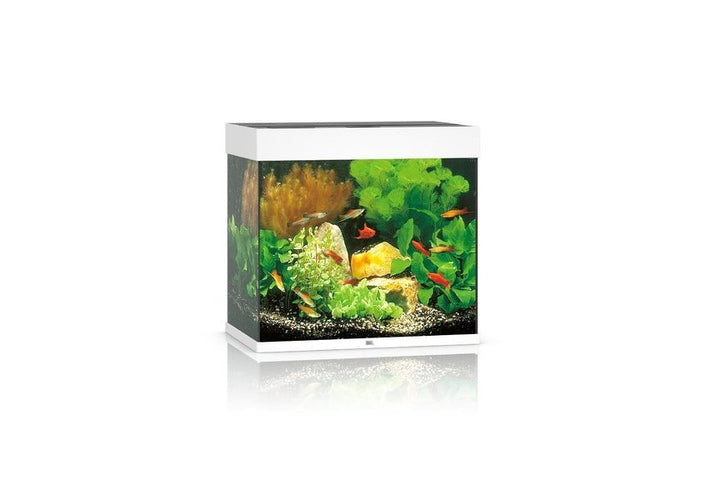 Juwel Lido 120 LED Aquarium Set von Juwel