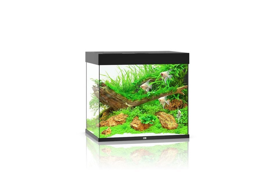 Juwel Lido 200 LED Aquarium Set von Juwel