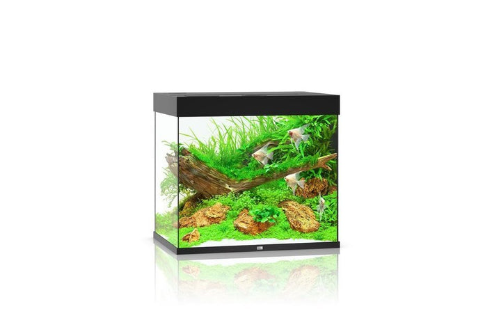 Juwel Lido 200 LED Aquarium Set von Juwel