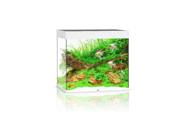Juwel Lido 200 LED Aquarium Set von Juwel
