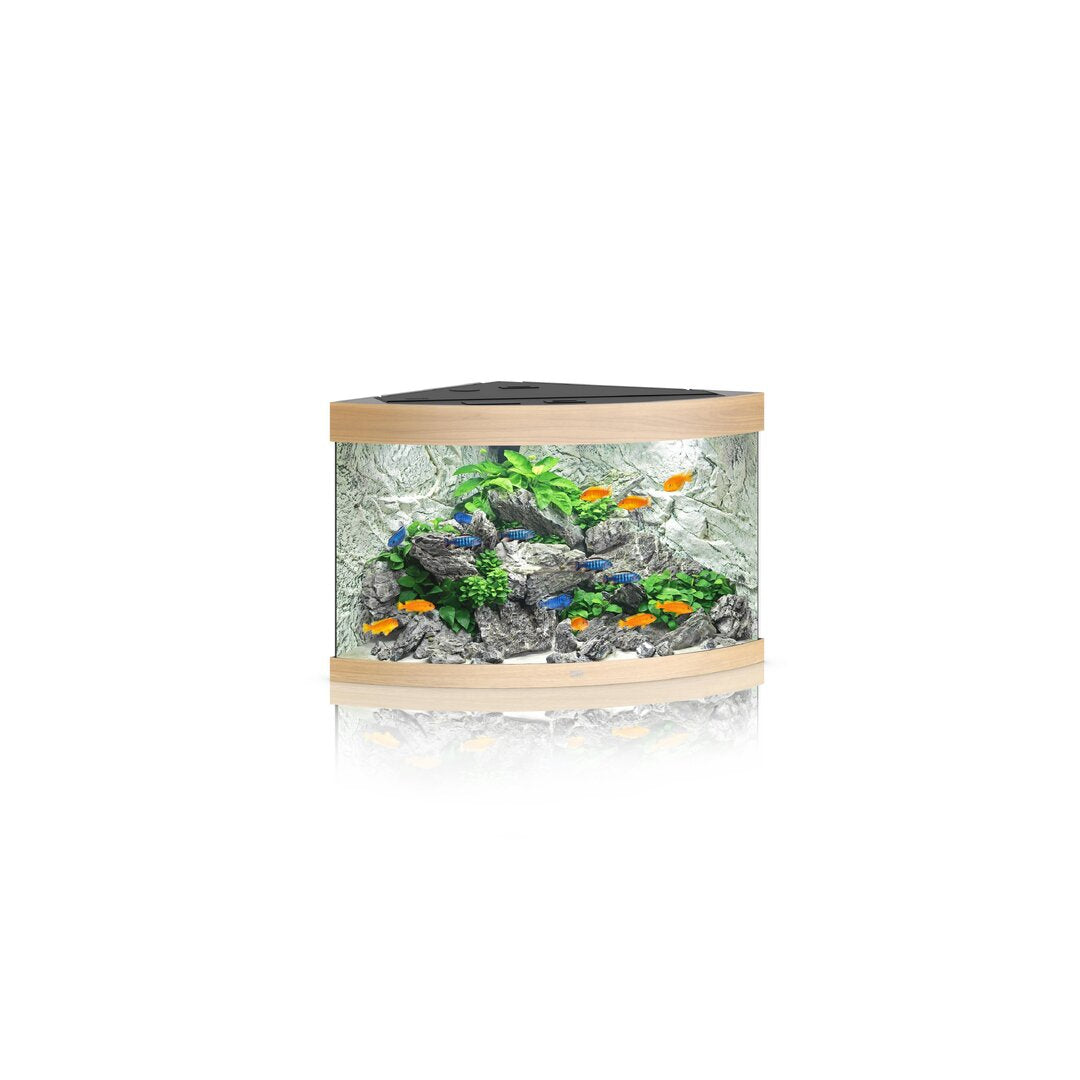 Juwel TRIGON 190 LED Aquarium Set von Juwel