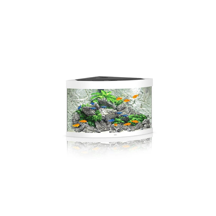 Juwel TRIGON 190 LED Aquarium Set von Juwel
