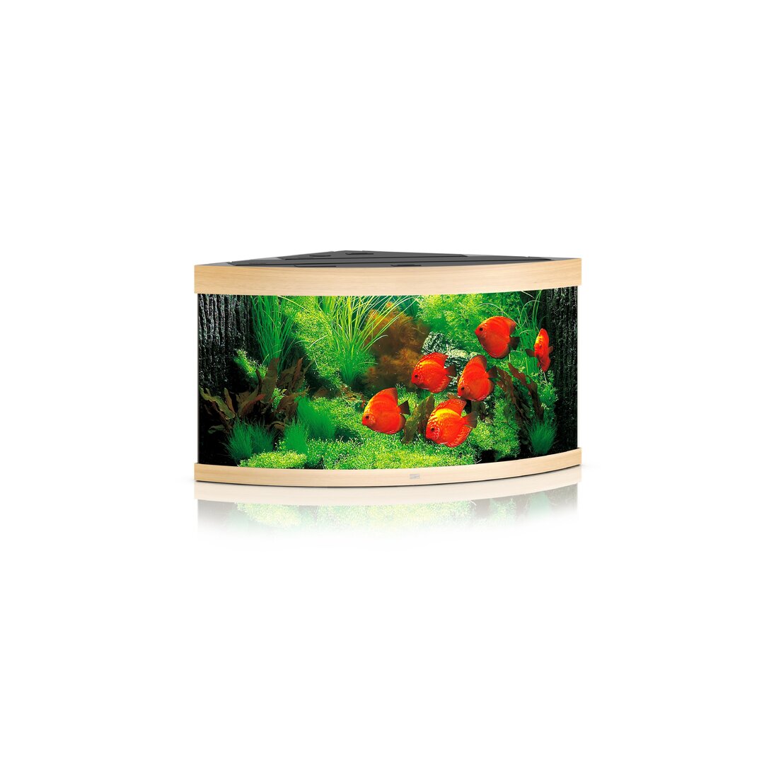 Juwel TRIGON 350 LED Aquarium Set von Juwel