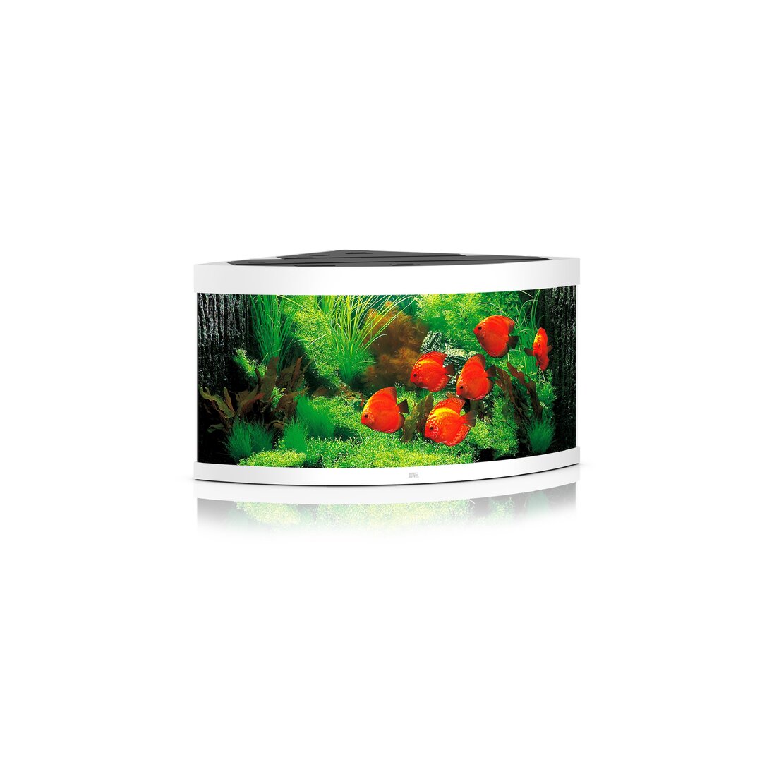 Juwel TRIGON 350 LED Aquarium Set von Juwel
