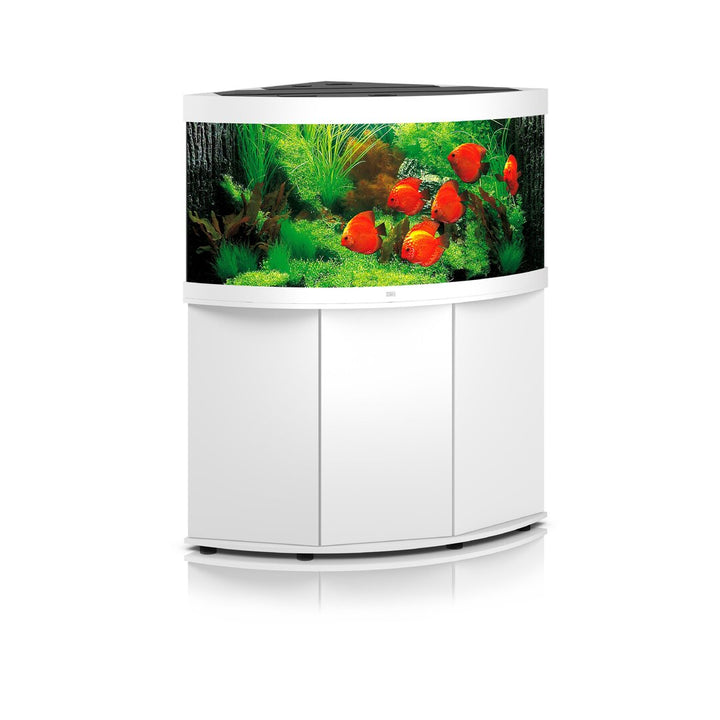 Juwel TRIGON 350 LED Kombination von Juwel