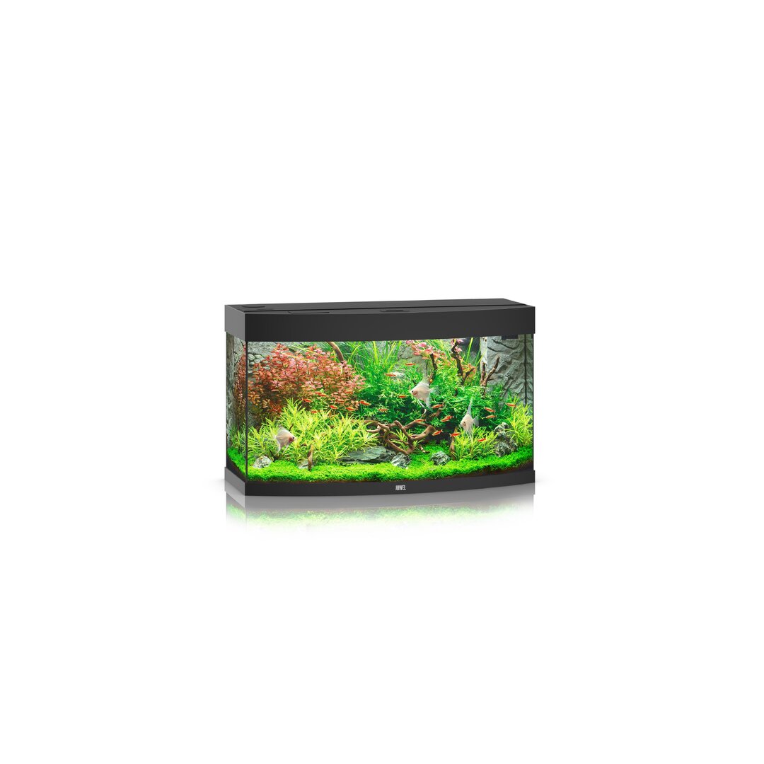 Juwel Vision 180 LED Aquarium Set von Juwel