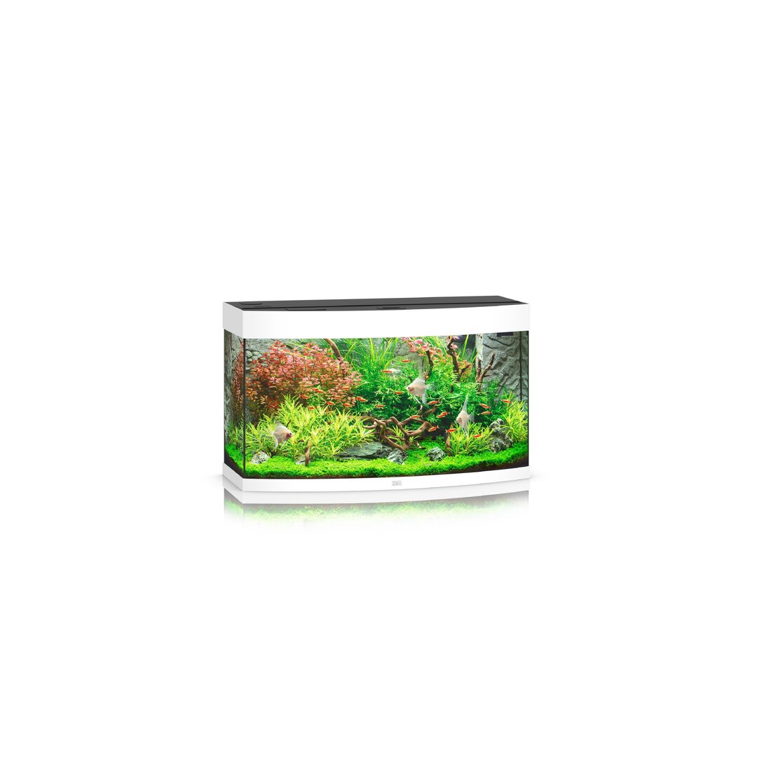 Juwel Vision 180 LED Aquarium Set von Juwel