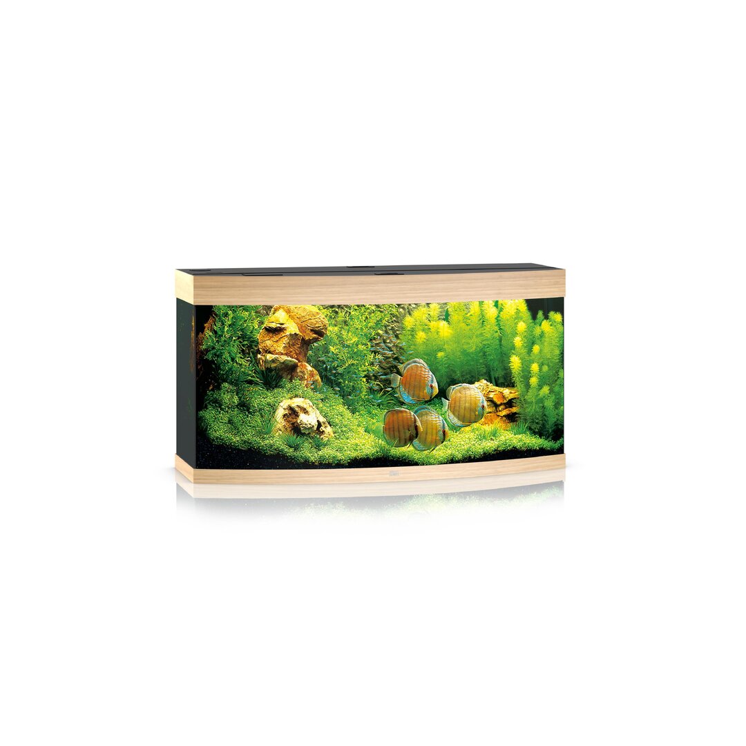 Juwel Vision 260 LED Aquarium Set von Juwel