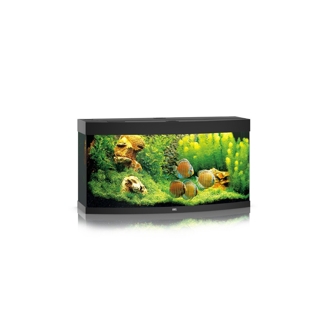 Juwel Vision 260 LED Aquarium Set von Juwel