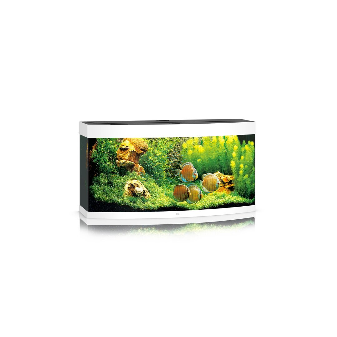 Juwel Vision 260 LED Aquarium Set von Juwel
