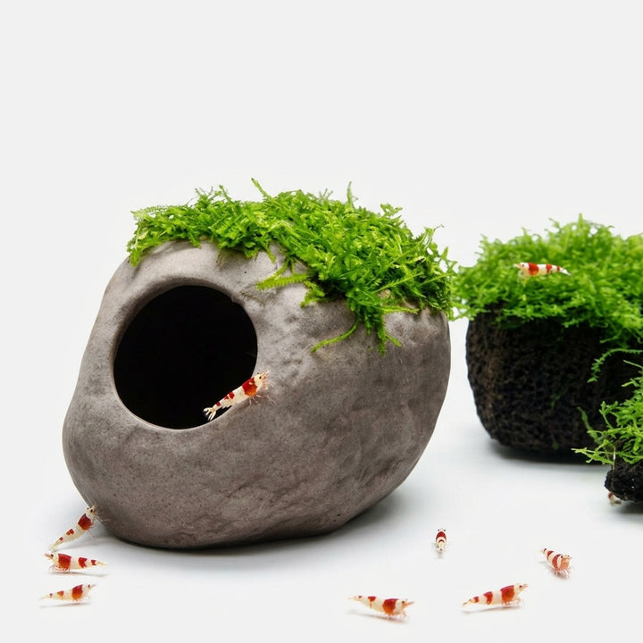 Papillon Nano Shelter Keramik Versteck von Papillon