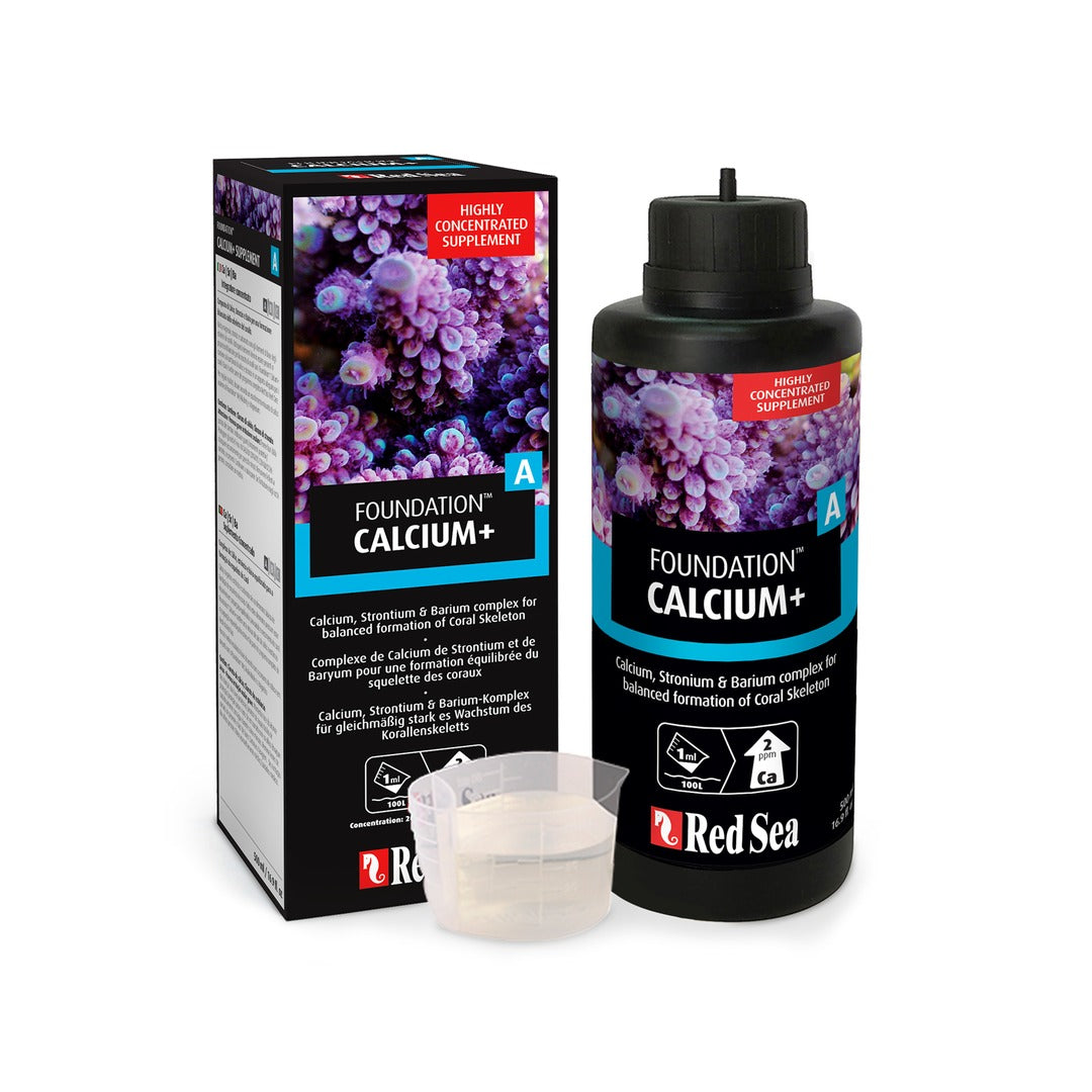 Red Sea Foundation A Calcium+