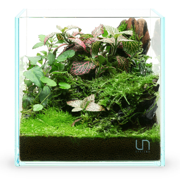 UNS Cube Aquarium von UNS