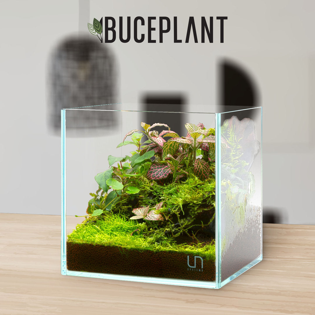 UNS Cube Aquarium von UNS