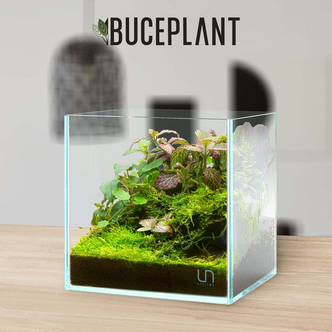 UNS Cube Aquarium von UNS