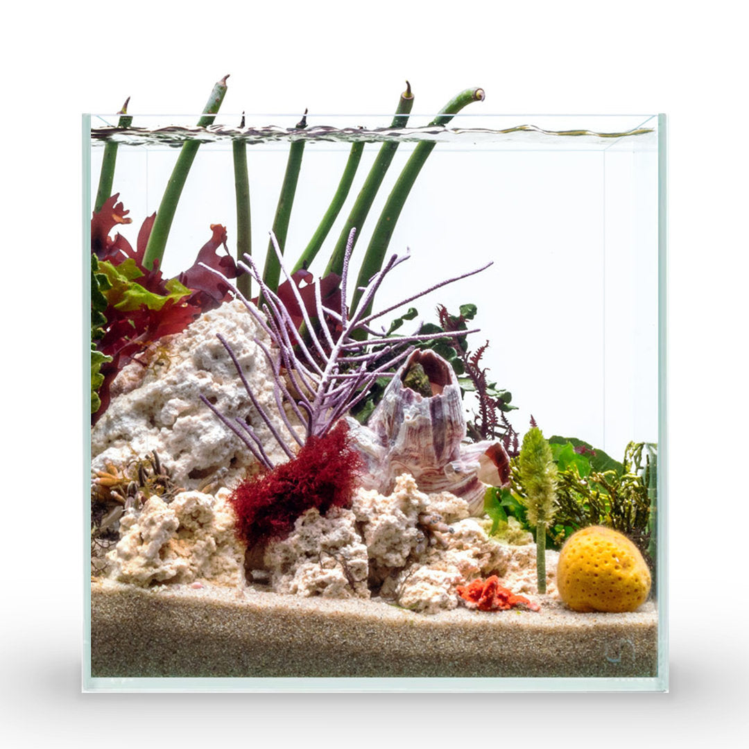 UNS Cube Aquarium von UNS