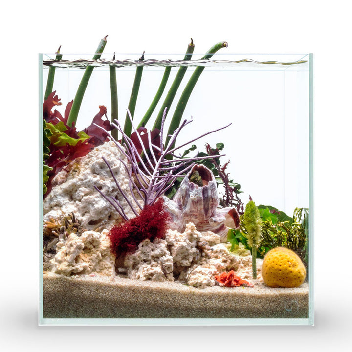 UNS Cube Aquarium von UNS