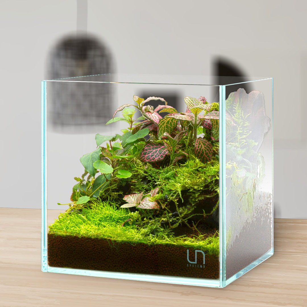 UNS Cube Aquarium von UNS