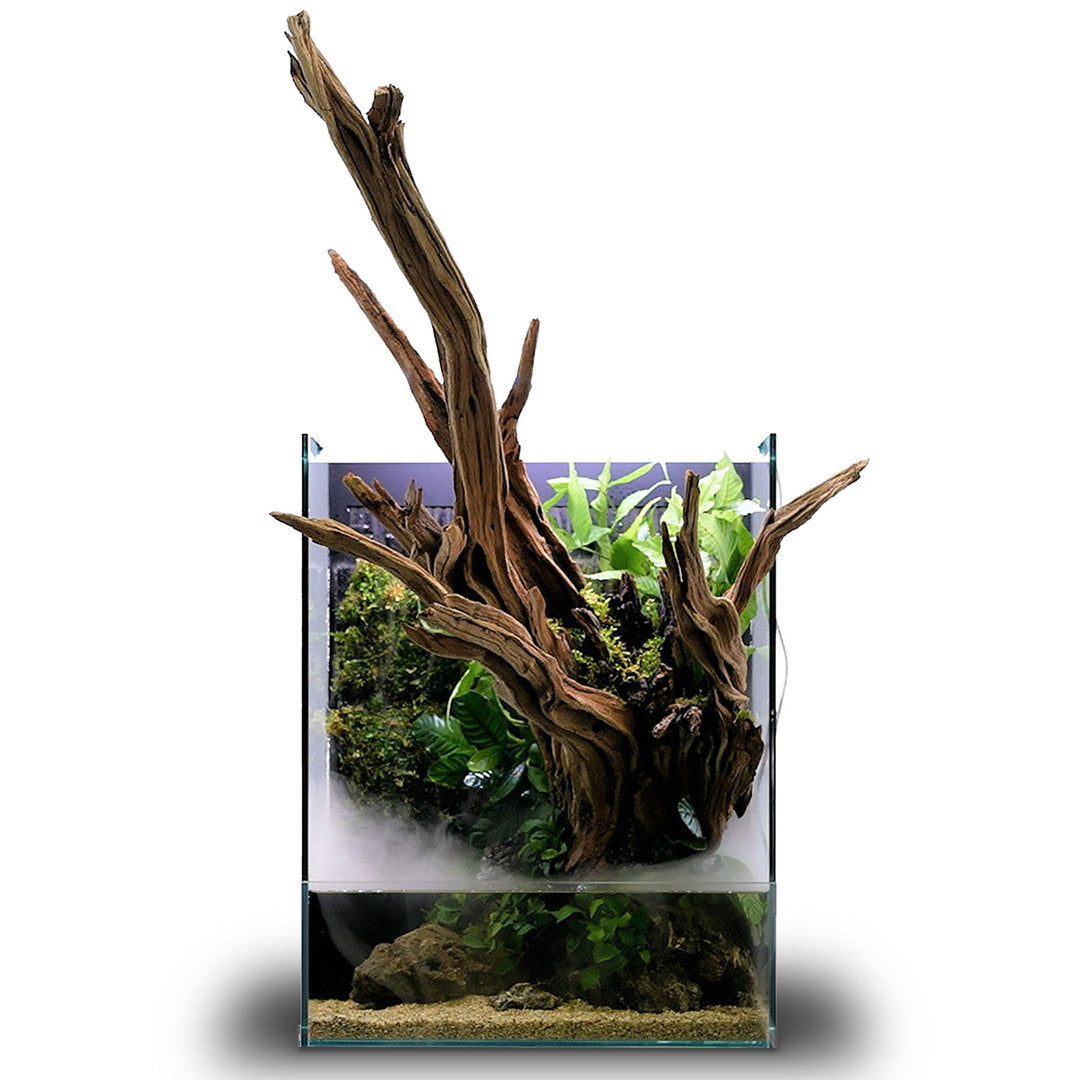 UNS Foresta Paludarium von UNS