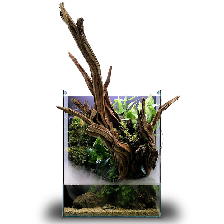 UNS Foresta Paludarium von UNS