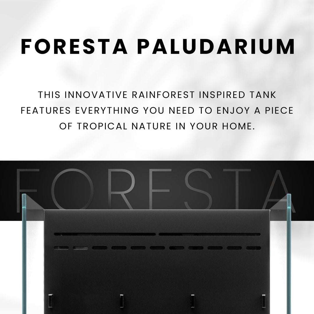 UNS Foresta Paludarium von UNS