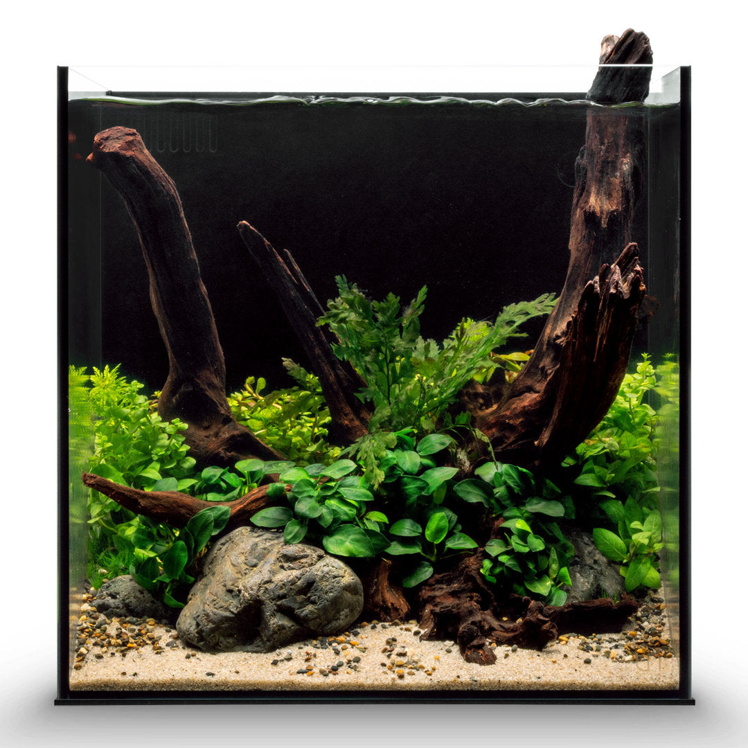 UNS Freshwater AIO Aquarium Komplettsystem von UNS