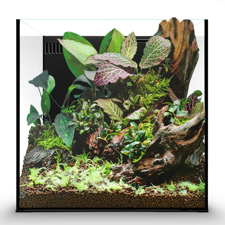 UNS Freshwater AIO Aquarium Komplettsystem von UNS