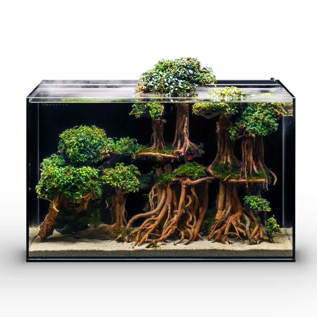 UNS Freshwater AIO Aquarium Komplettsystem von UNS