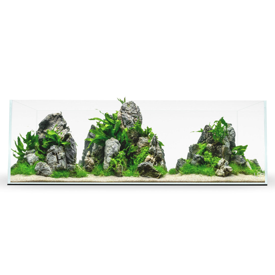 UNS Long Aquarium von UNS