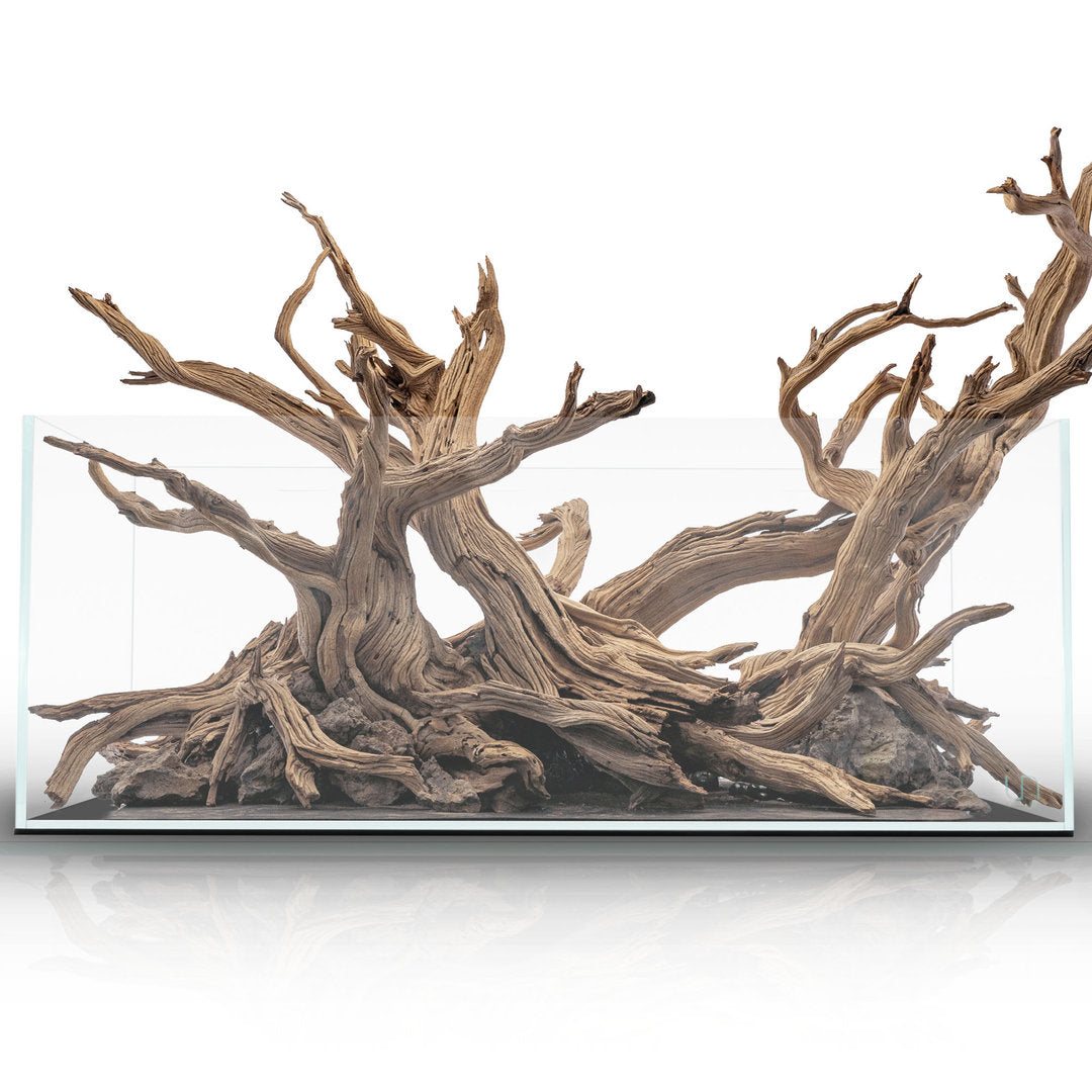 UNS Shallow Aquarium flach von UNS