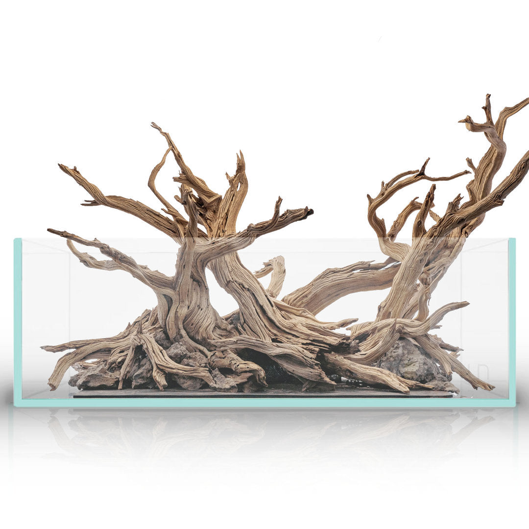 UNS Shallow Aquarium flach von UNS
