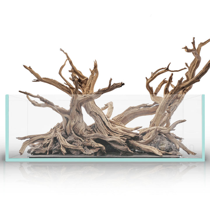 UNS Shallow Aquarium flach von UNS