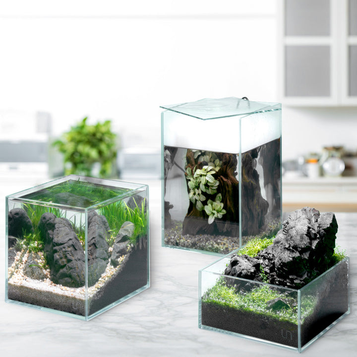 UNS Tall Aquarium von UNS