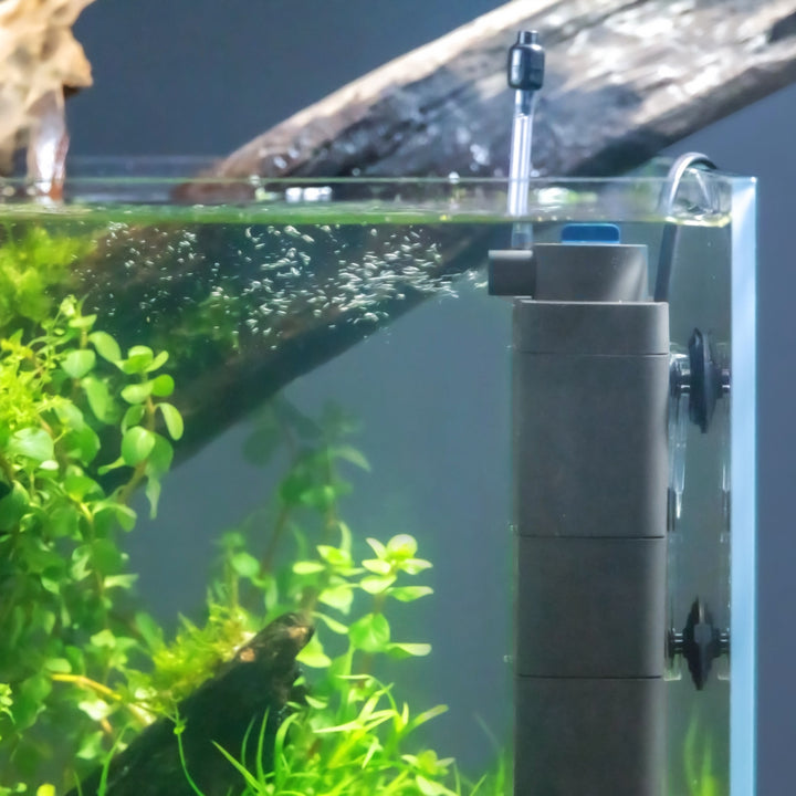 Oase EcoFlow Innenfilter